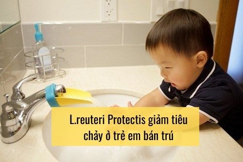 L.reuteri Protectis giảm tiêu chảy ở trẻ em bán trú